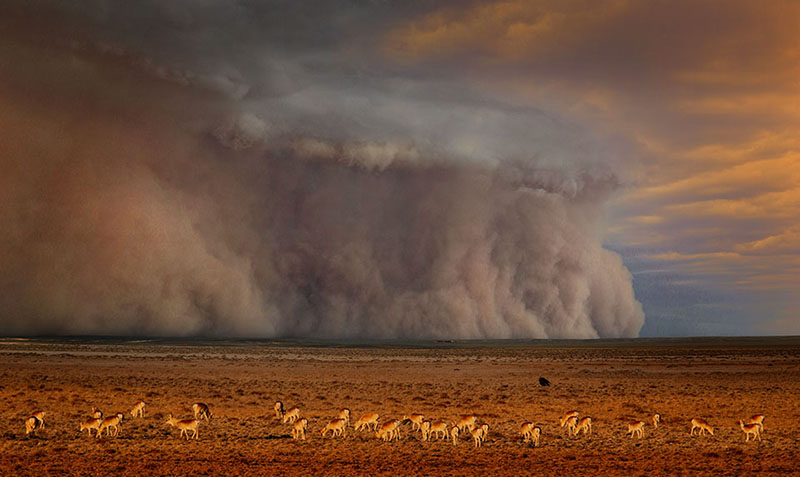 Gobi desert Mongolia Landscape photography