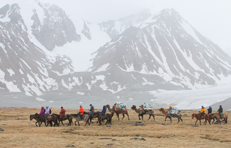 Altai Mountain camel riding