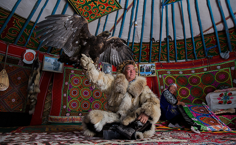 Mongolia golden eagle photography
