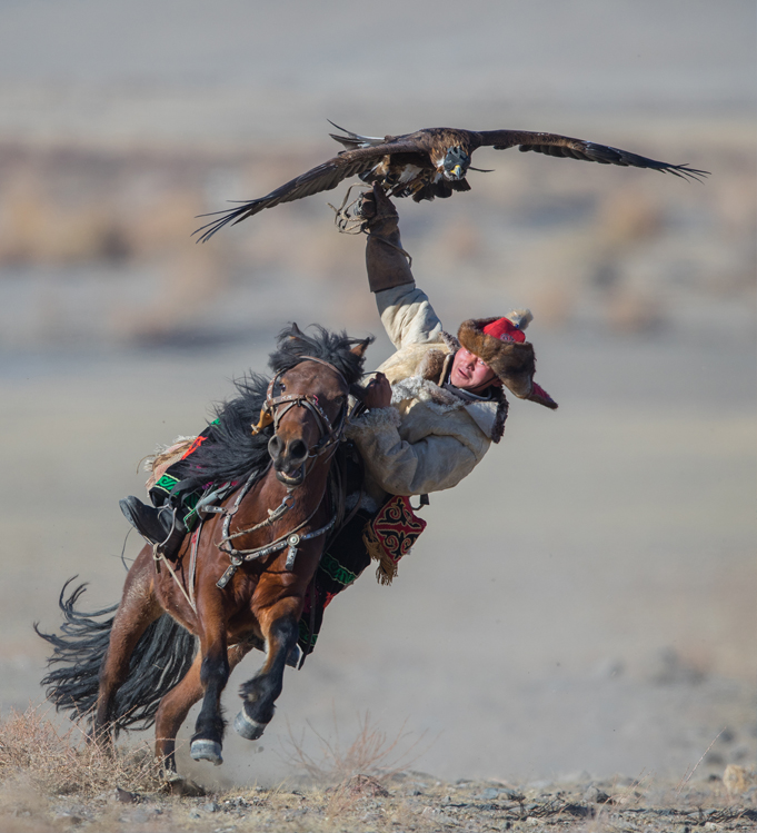 eagle calling competition at golden eagle festival