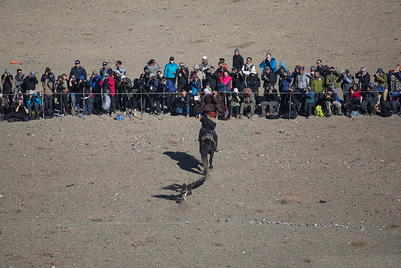 eagle calling competition in Mongolia