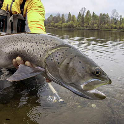 Fly_fishing_mongolia