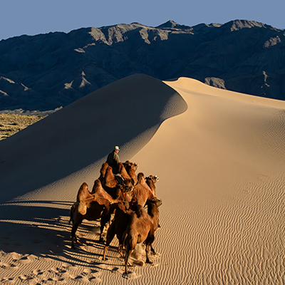 Gobi_desert_of_mongolia