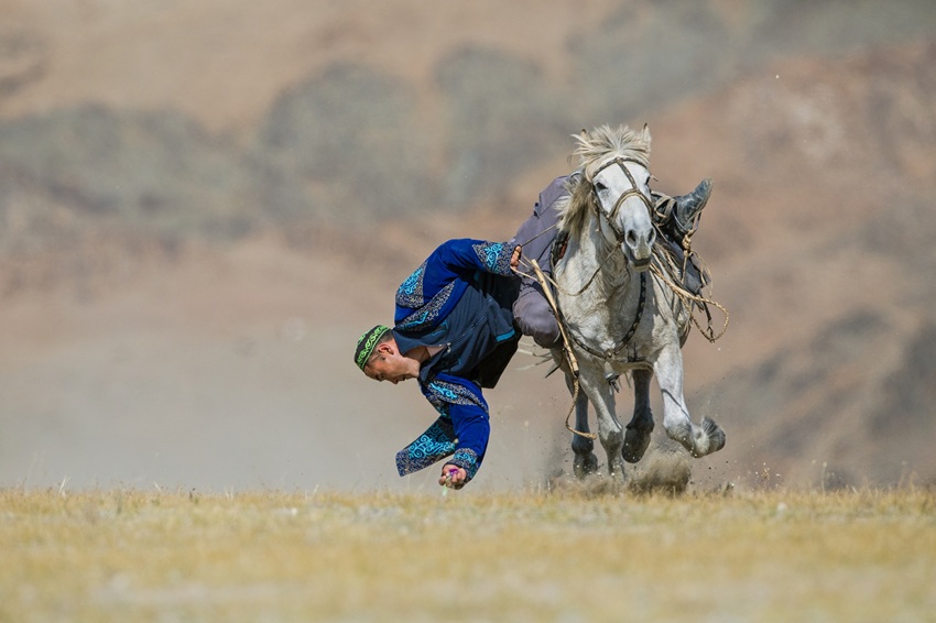 Coin grabbing competition at sagsai golden eagle festival
