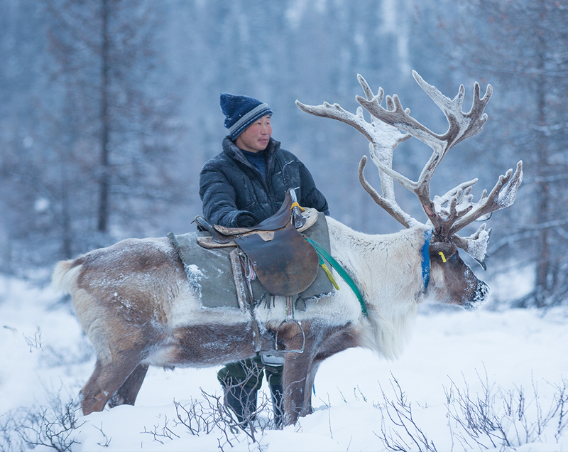 I_Documented_Tsaatan_Reindeer_People