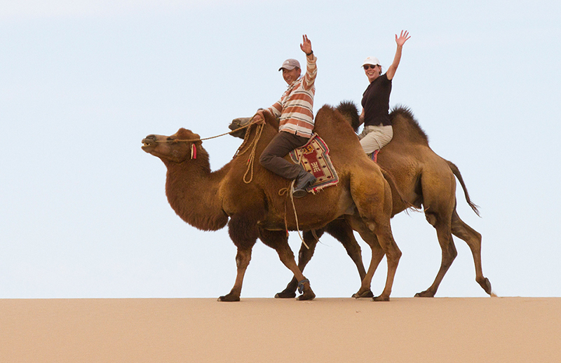 mongolia camel photography 