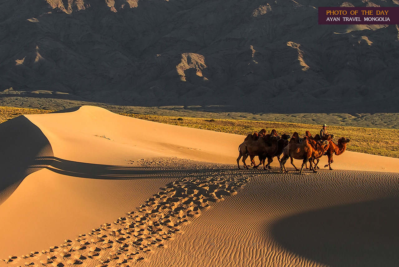 Photo-of-the-day-mongolia-Gobi-photography-batzaya-choijiljav