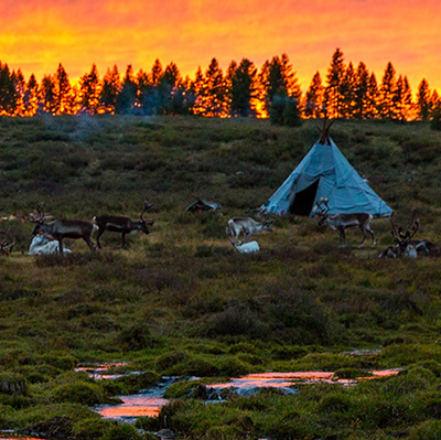 Reindeer herders tsaatan photo tour mongolia