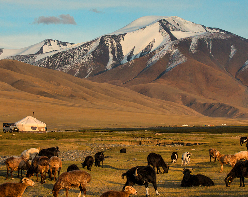 Practical_advice_for_Mongolian_Photography