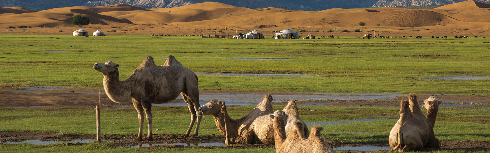 Travel_destinations_mongolia