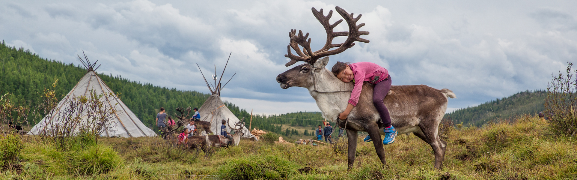 Photo tour to reindeer herders mongolia