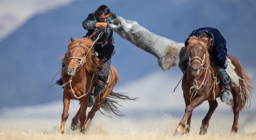 Horse competition tug of war at Sagsai Golden Eagle Festival
