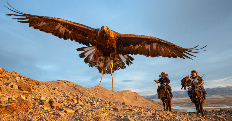Eagle hunter photography