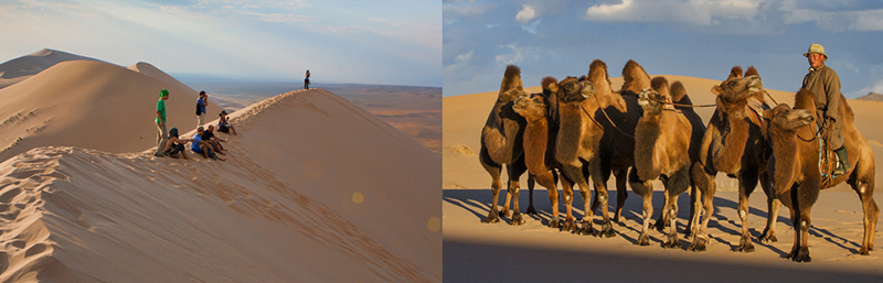 Gobi desert tours mongolia
