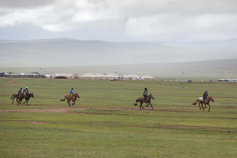 Mongolia naadam festival horses race