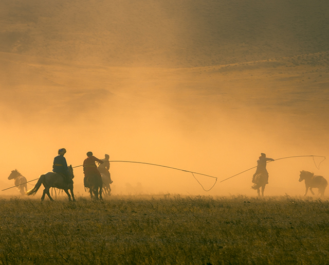 horse_festival_mongolia