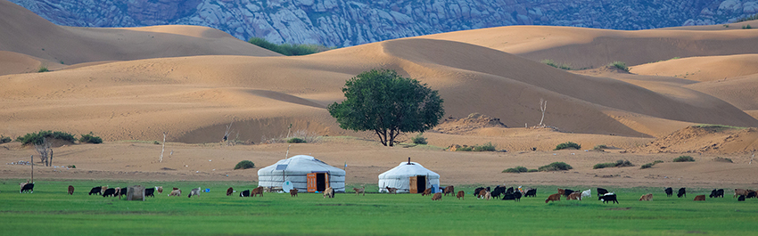 mongolia-in-numbers-fact