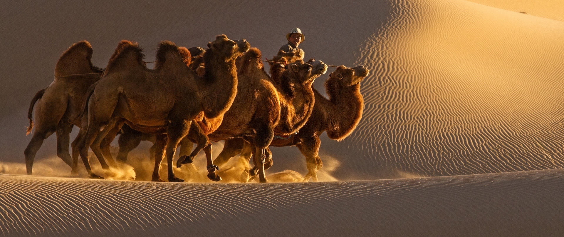 mongolia-gobi-desert-tour-ayan