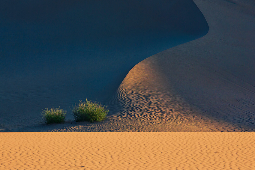 mongolia nature photos by batzaya choijiljav gobi desert photo