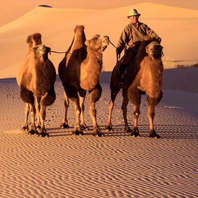 mongolia_china_tours