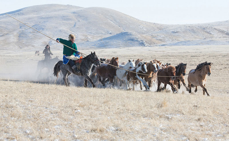 Uurga Photo Tour To Winter Horse Festival