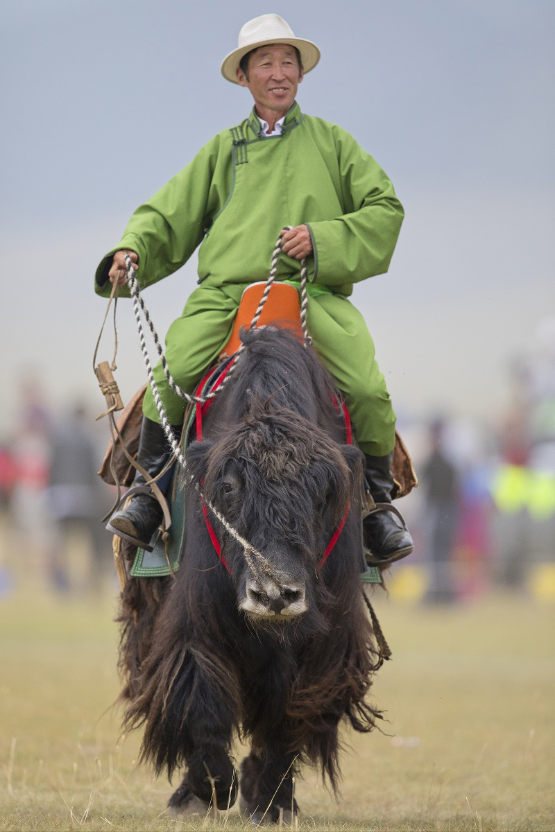 yak events mongolia