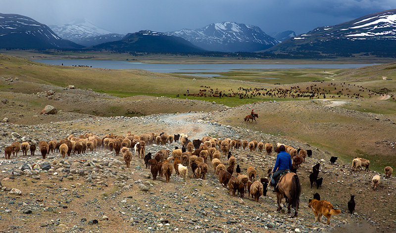nomadic migration at  sagsai