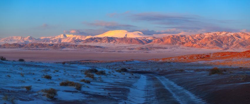snow-leopard-tour-mongolia