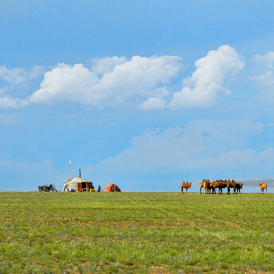 gobi travel destination