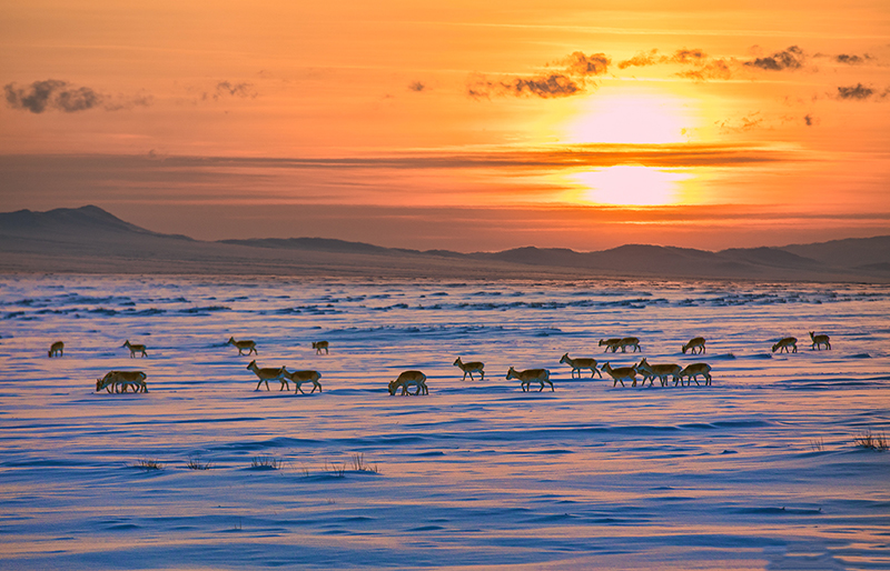sunset photos mongolia