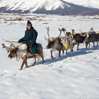 taiga_of_mongolia