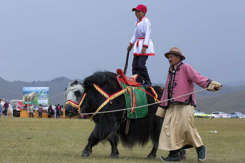 yak events mongolia